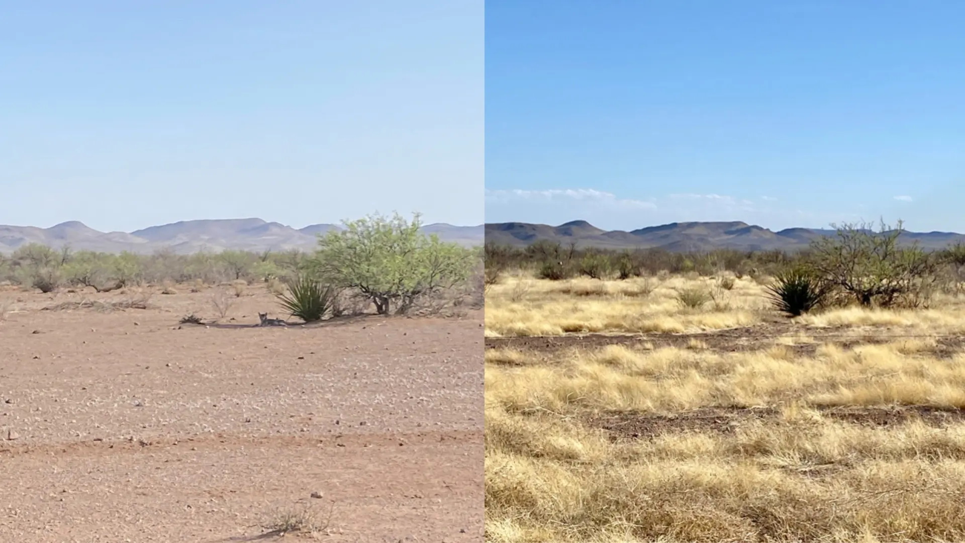 Before and after on a ranch in Mexico