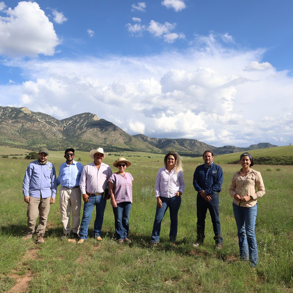 Grassland restoration