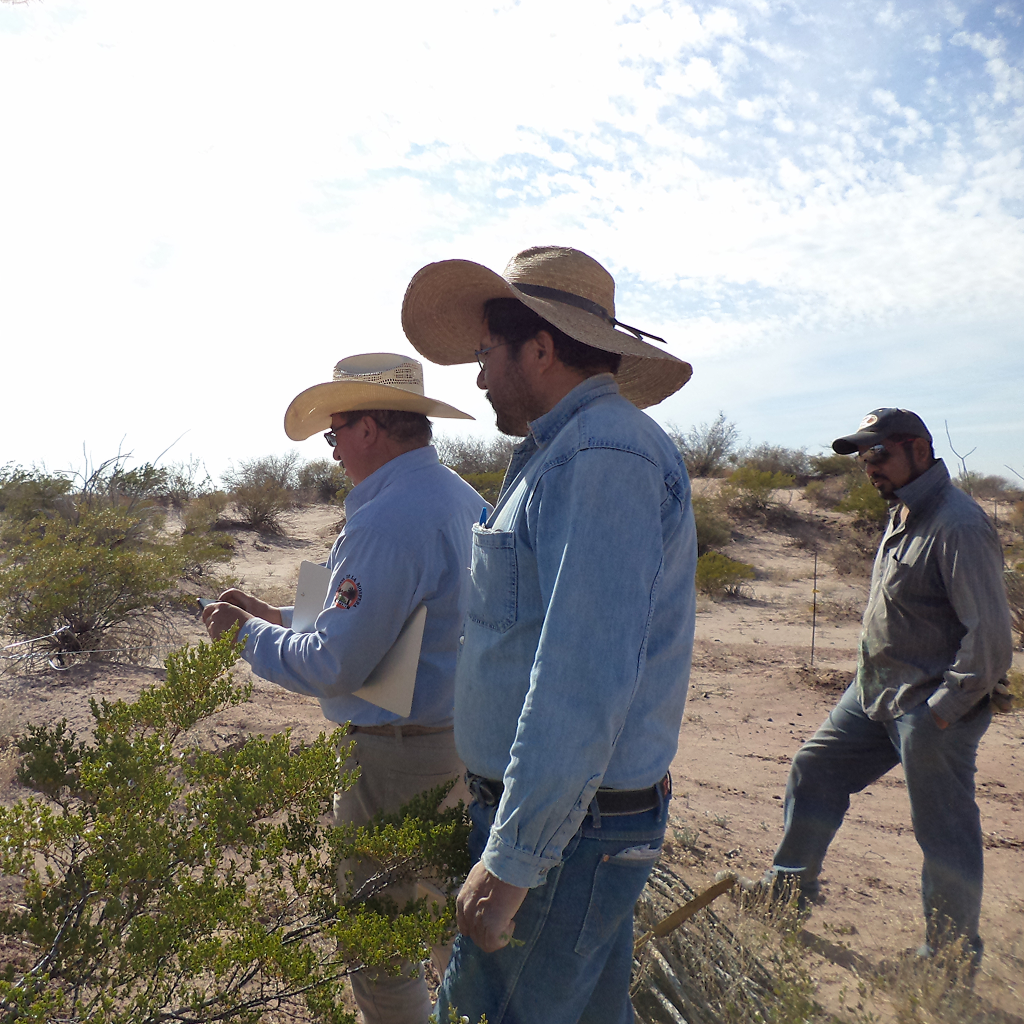 Boomitra Northern Mexico Project